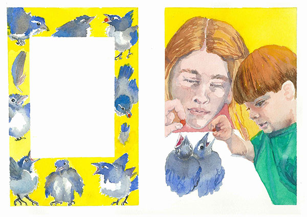 Signs of Jays Illustration