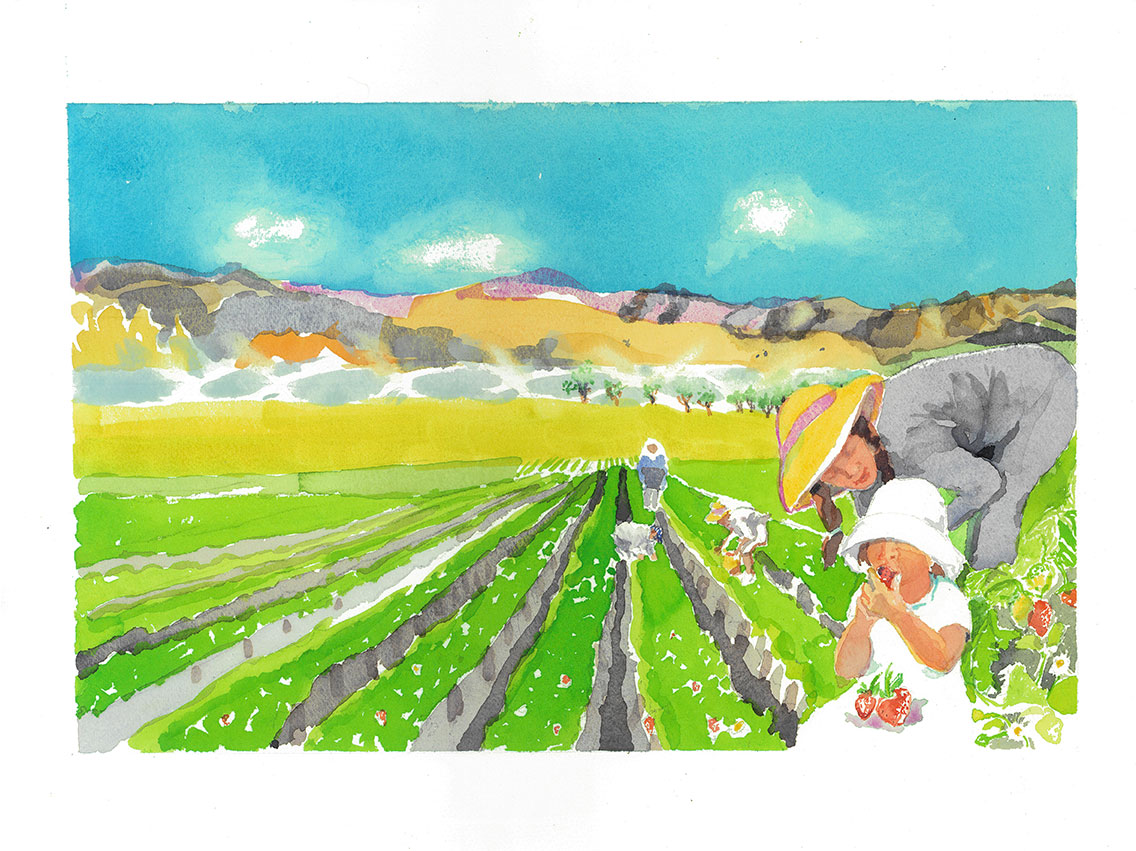 Blue Skies for Lupe Illustration